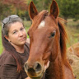 Meet your Posher, Leesa